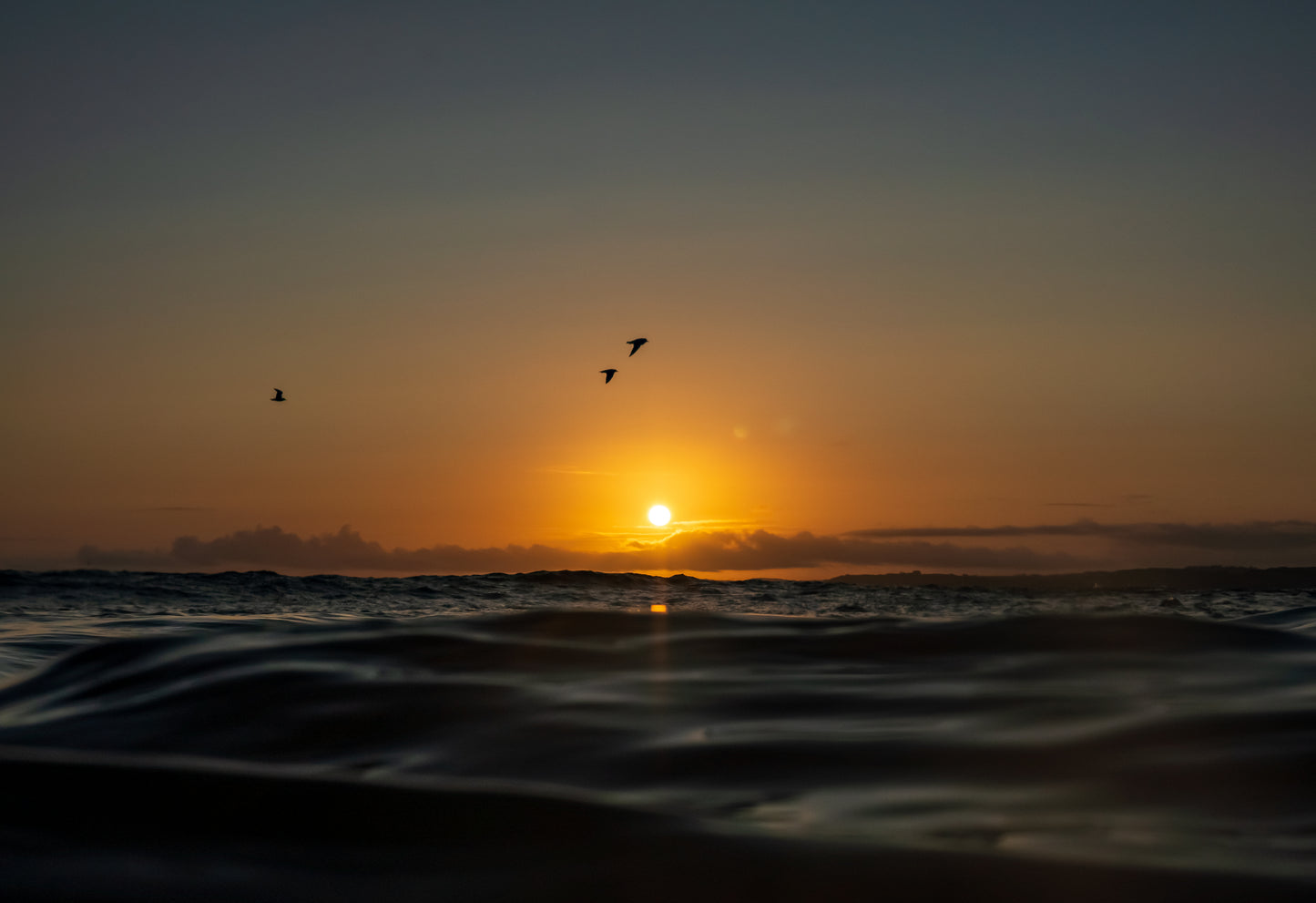 Last Light