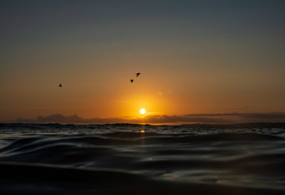 Last Light